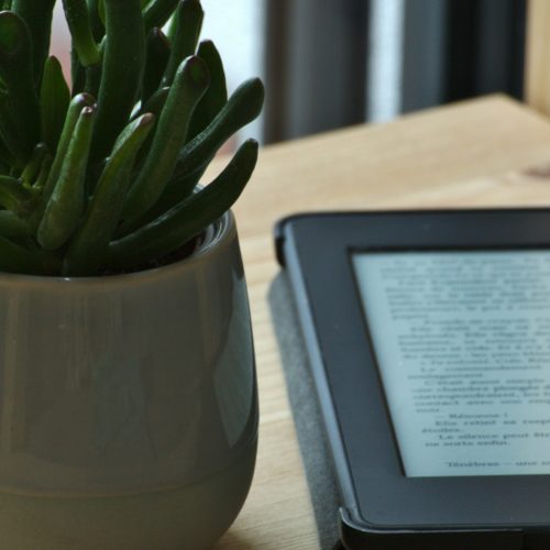 Explorer de nouveaux genres littéraires sur Kindle